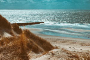 Dune landscape in Holland with a view of the sea Dune landscape in Holland with a view of the sea